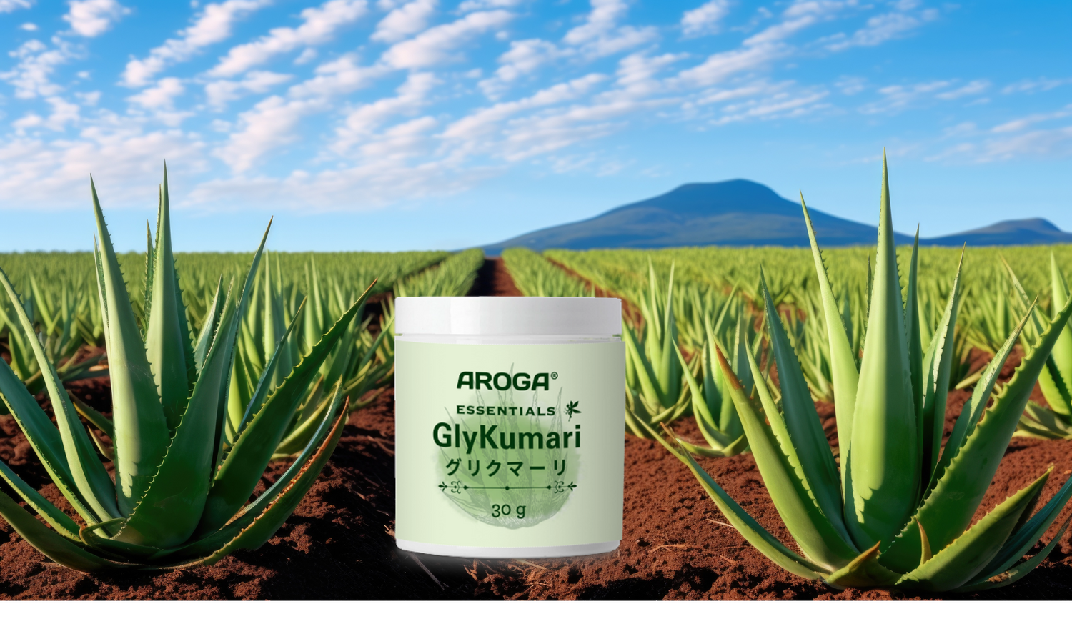 Aloe Field & AVB